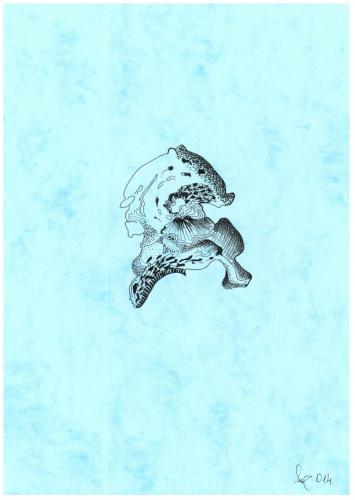 SCAN0727 001