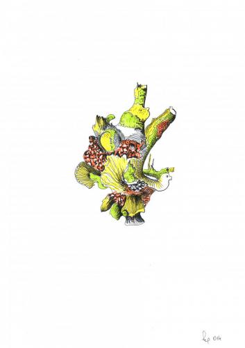 SCAN0733 001