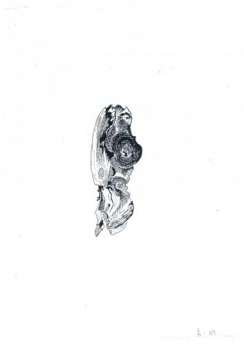 SCAN9190 001
