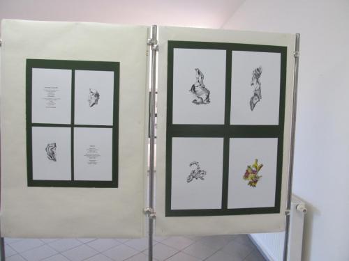 promeny-hrave-duse-podzim-2016-galerie-kic-horni-plana-2016-71