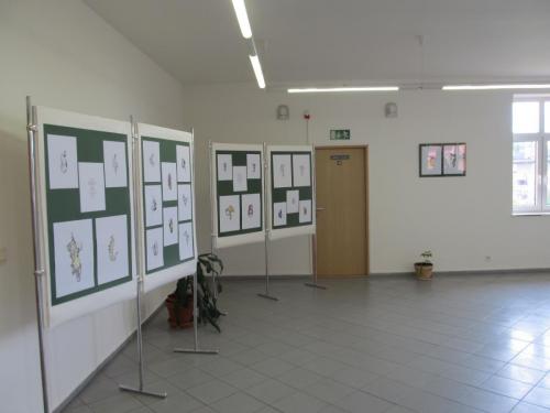 promeny-hrave-duse-podzim-2016-galerie-kic-horni-plana-2016-72