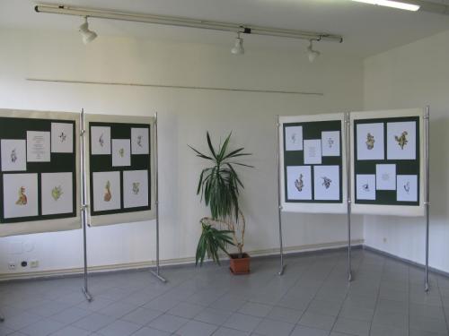 promeny-hrave-duse-podzim-2016-galerie-kic-horni-plana-2016-73