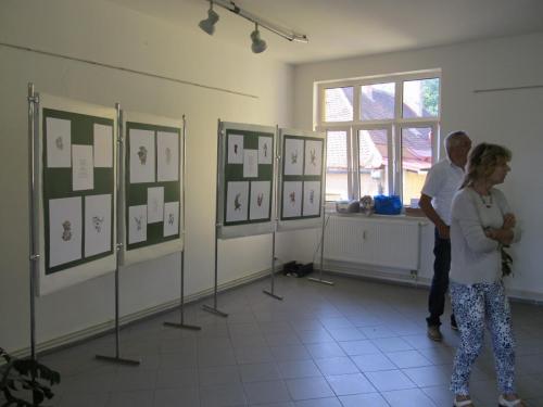 promeny-hrave-duse-podzim-2016-galerie-kic-horni-plana-2016-74