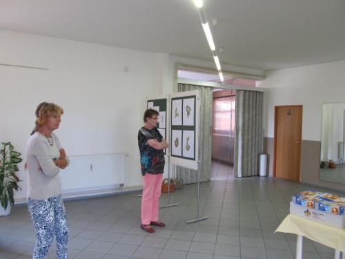 promeny-hrave-duse-podzim-2016-galerie-kic-horni-plana-2016-75