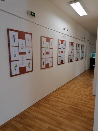 promeny-hrave-duse-plzen-2022-187